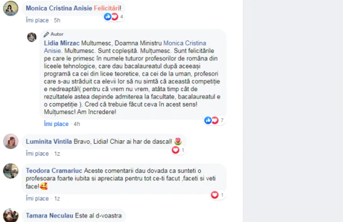 profesoara de la campulung