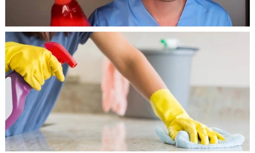 1 dezinfectant pautov jpg jpeg