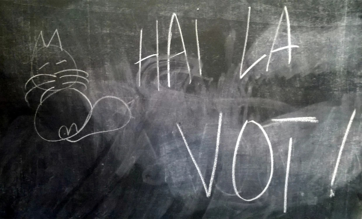 Hai la vot