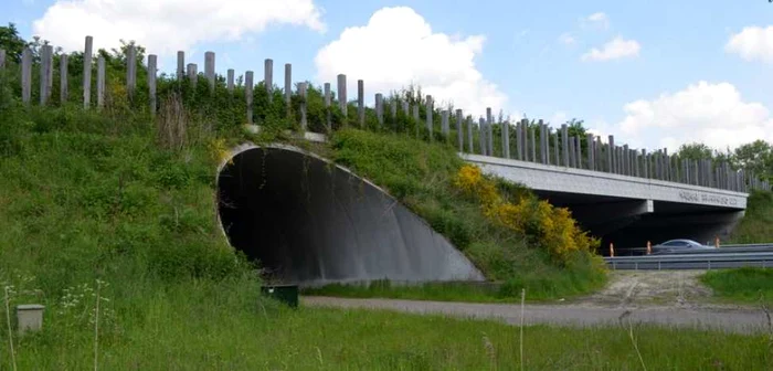 Pod verde pentru animale, model care va fi implementat şi în România FOTO EnvironmentalBlog.org