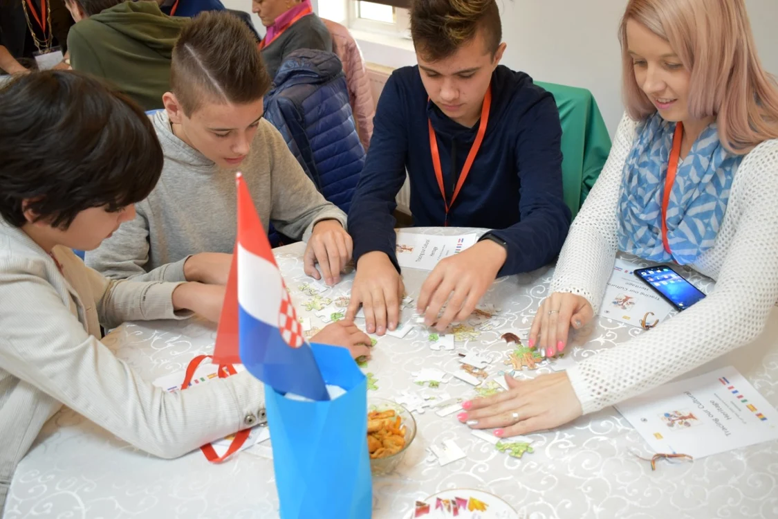 Proiect Erasmus