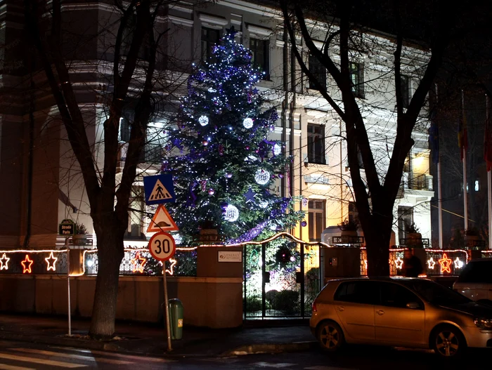 Unul dintre cei mai luminaţi brazi se află în curtea unei firme din domeniul energiei electrice