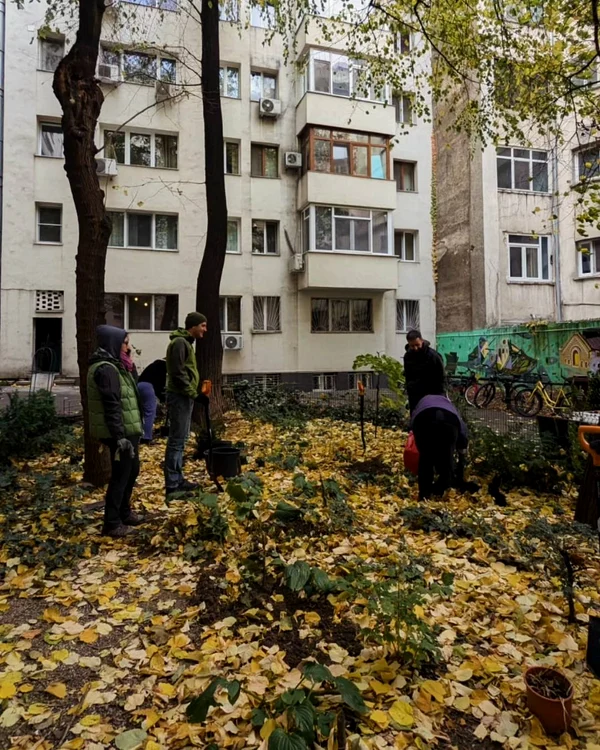 Grupul Cișmigiu arată cum implicarea locală poate revitaliza un parc istoric. FOTO: Facebook