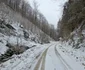 Valea Anineșului Drumul spre Fața Cetei (23) jpg