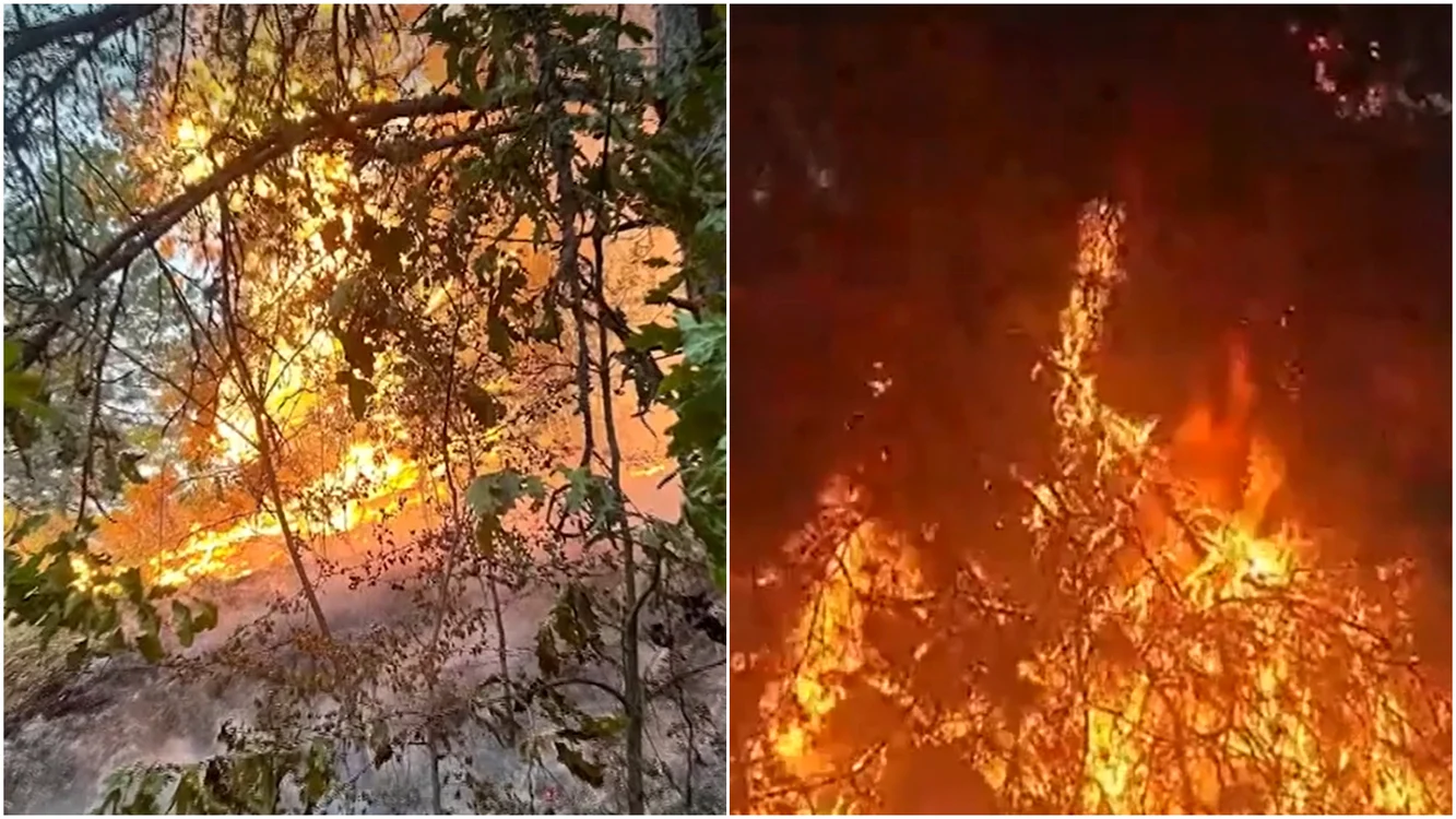 Incendiu de proporții a izbucnit în județul Hunedoara