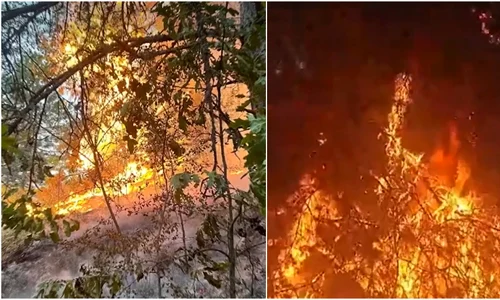 Incendiu Hunedoara jpg