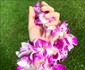 Raluca Lazarut Horatiu Boeriu vacanta Hawaii (44) jpeg