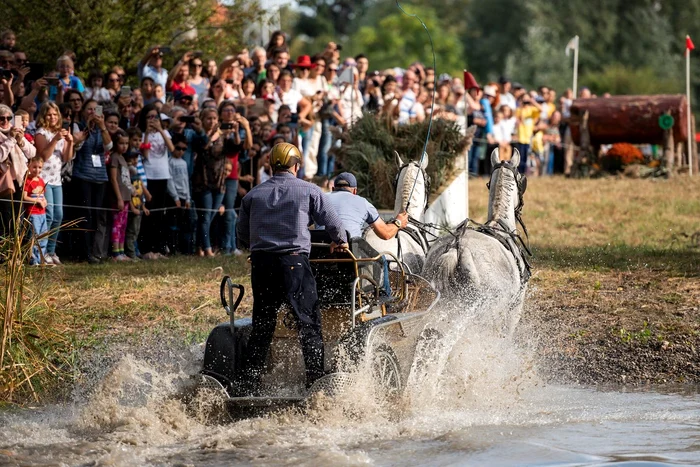 FOTO Ștefan Stoica