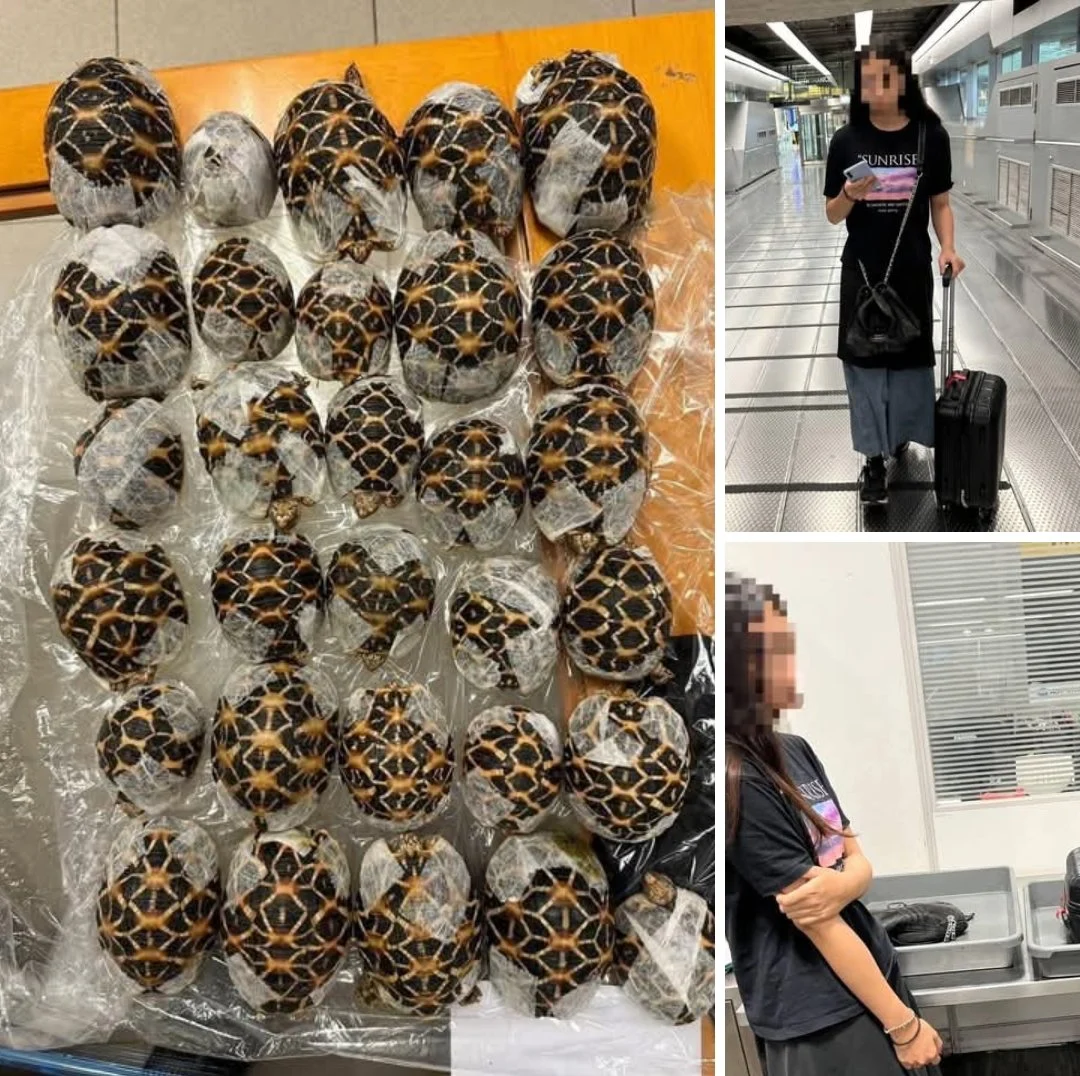 Descoperirea bizară de sub hainele unei tinere pe aeroport: mișcările care i-au alertat pe vameșii thailandezi