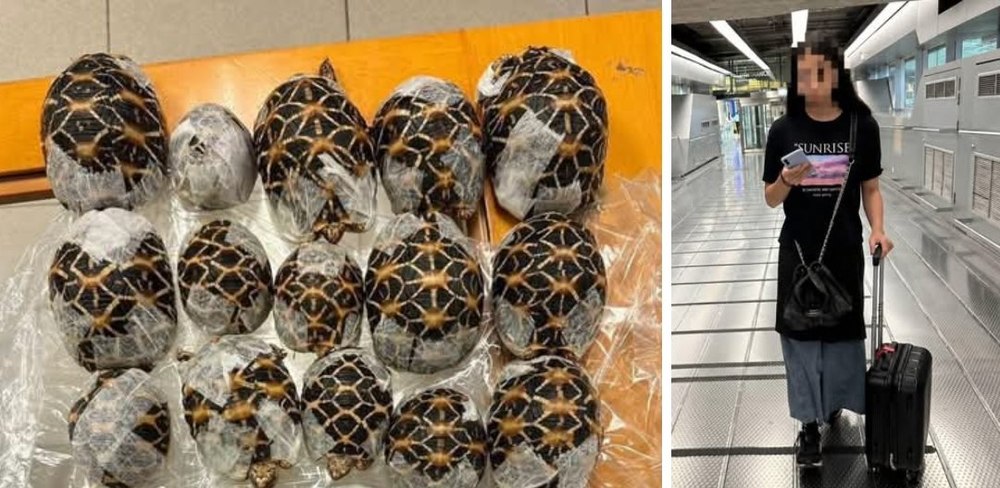 Descoperirea bizară de sub hainele unei tinere pe aeroport: mișcările care i-au alertat pe vameșii thailandezi