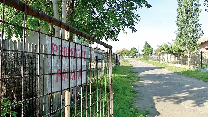 Pe terenul complexului au fost construite mai multe case