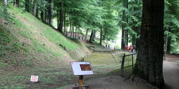 sarmizegetusa regia