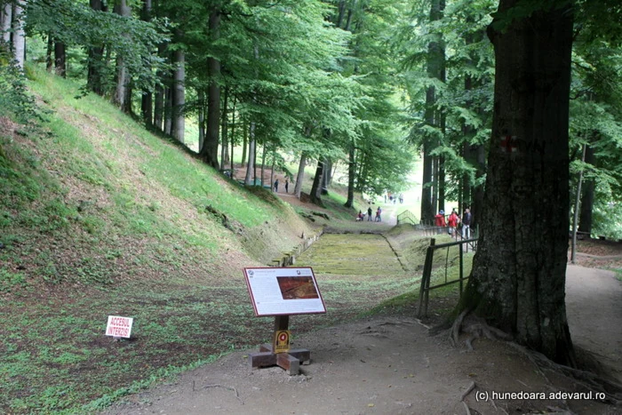 sarmizegetusa regia