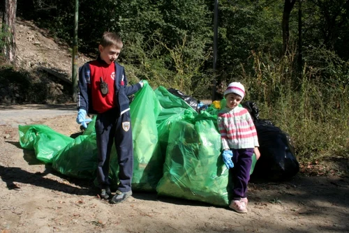 ecologizare