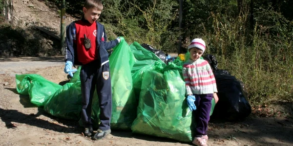 ecologizare