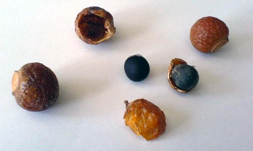 1 63545 original jpg jpeg