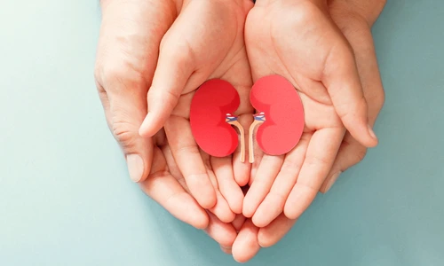 donator  foto   Shutterstock jpg