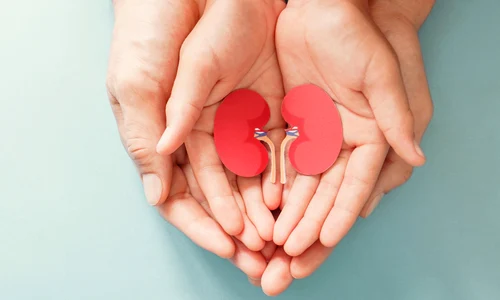 donator  foto   Shutterstock jpg