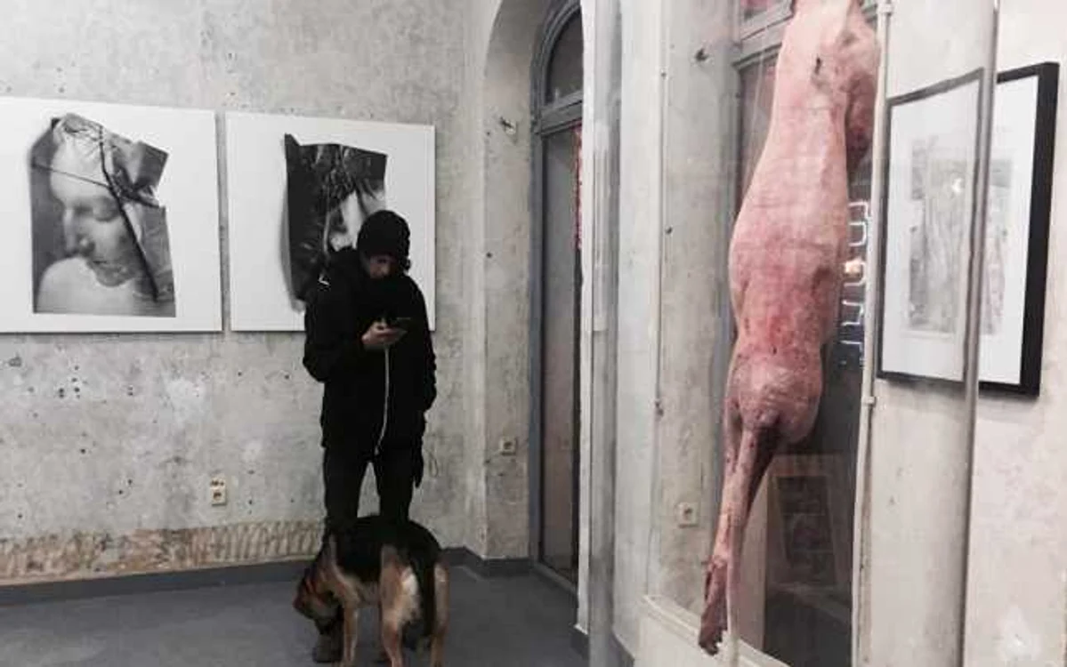 Expoziţia Baraka de la Bucureşti