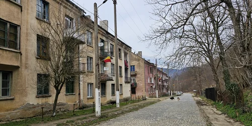 Satul Ciudanovița din Caras Severin Foto Daniel Guță ADEVĂRUL (140) jpg