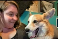 waldo corgi jess parker captura video jpg