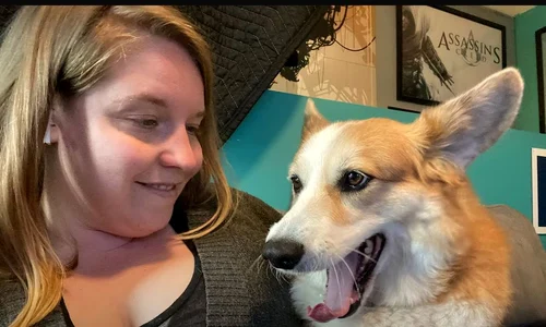 waldo corgi jess parker captura video jpg