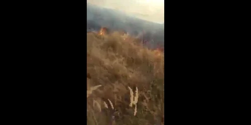 Incendiul s-a apropiat de casele unor cetăţeni din zona Artego