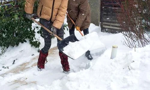 Adi Sînă și Anca Serea  curăță împreună zăpada din curte jpeg