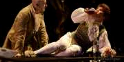 amadeus teatrul antional radu stanca