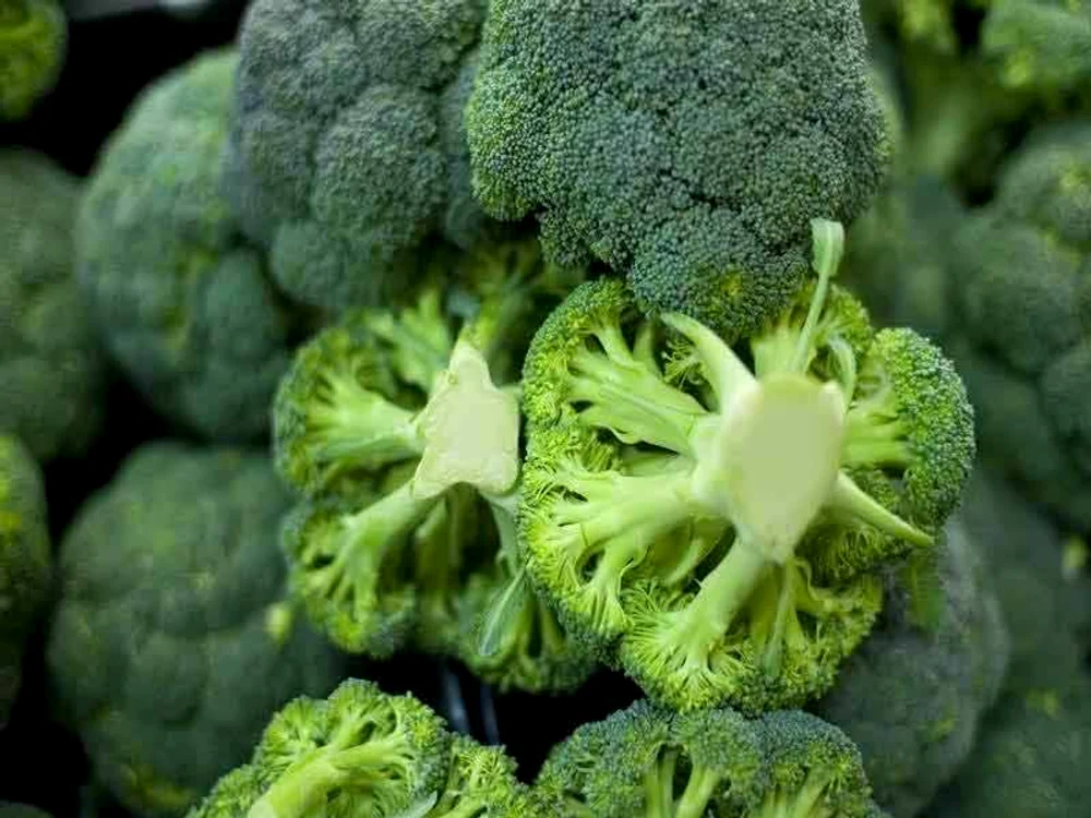 broccoli 2 1 jpg jpeg