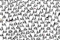 test jpg