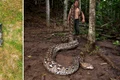 radu frentiu guinness world record jpg