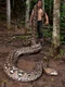 radu frentiu guinness world record jpg