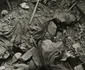 fotografie de Luis Ramón Marín