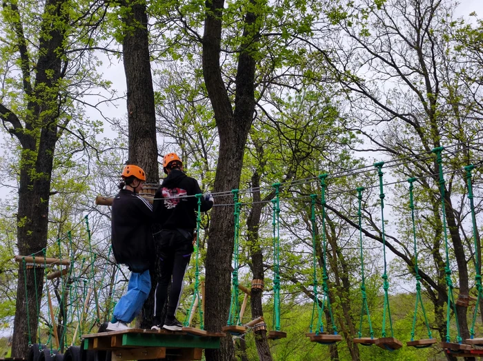 Parcul de Aventură are trasee complexe, pentru toate vârstele FOTO: C. Mazilu