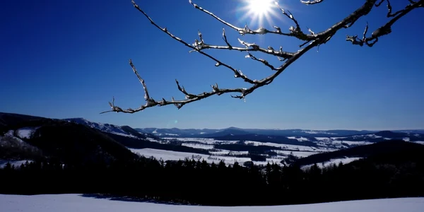 meteo februarie foto pixabay