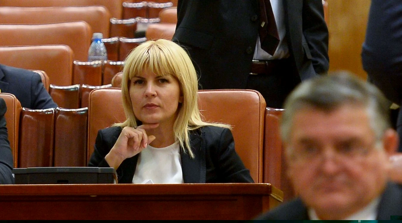 Elena Udrea, înaintea votului colegilor săi al cărui rezultat a dat undă verde pentru arestare. FOTO Mediafax