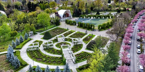 parcul rozelor timisoara jpg