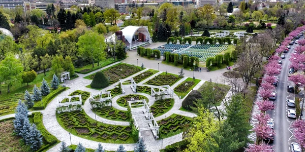 parcul rozelor timisoara jpg