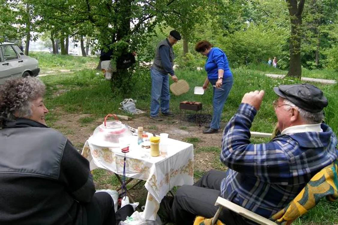 Natura românului verde jpeg