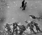 Urmele revoltelor studenţeşti de la Timişoara din 1956