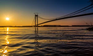 pod florin ungureanu jpg