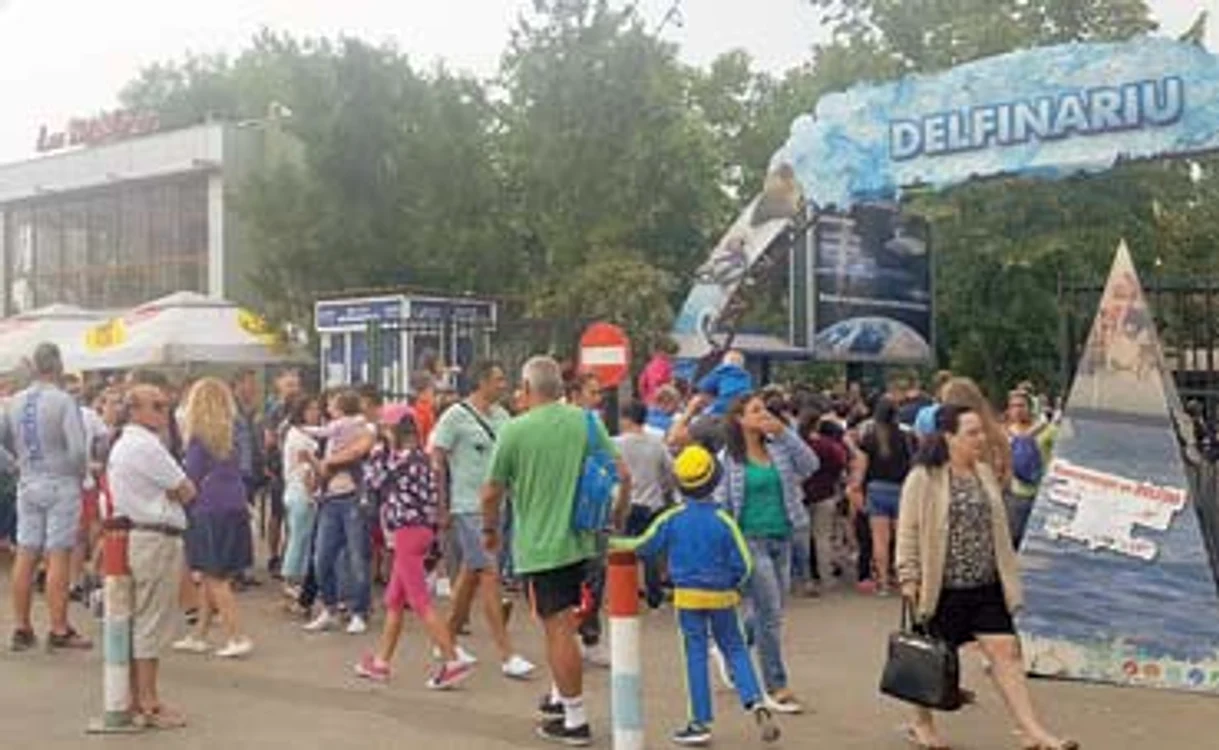 
    La Delfinariul din Constanţa  reprezentaţiile  s-au ţinut cu sala plină  