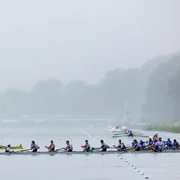 14248696 m jpg