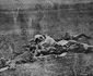 historia ro undefined png