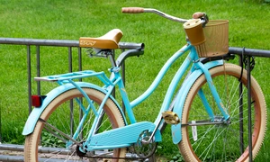 Cu bicicleta, minuscule zboruri jpeg