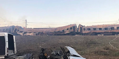 f5608f82 7ef4 4af0 9734 946e18406ad8 jpg