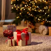 Cadouri mos craciun - brad FOTO Shutterstock 