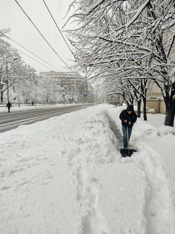 Unii bucureșteni și-au curățat singuri trotuarele