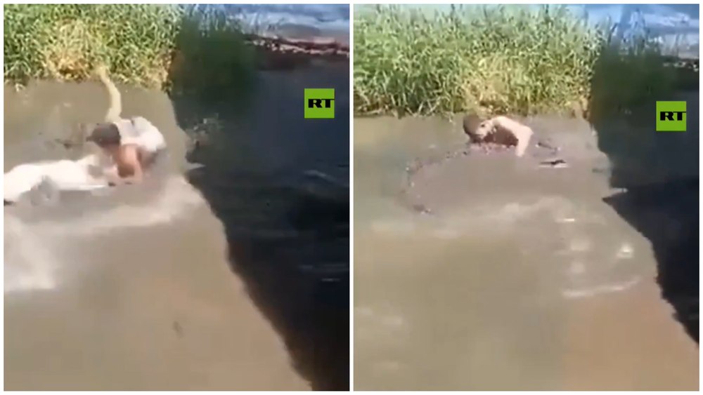 Momentul îngrozitor în care un turist nesăbuit este atacat de un crocodil de 5 metri. A crezut că este o statuie și a vrut să își facă un selfie